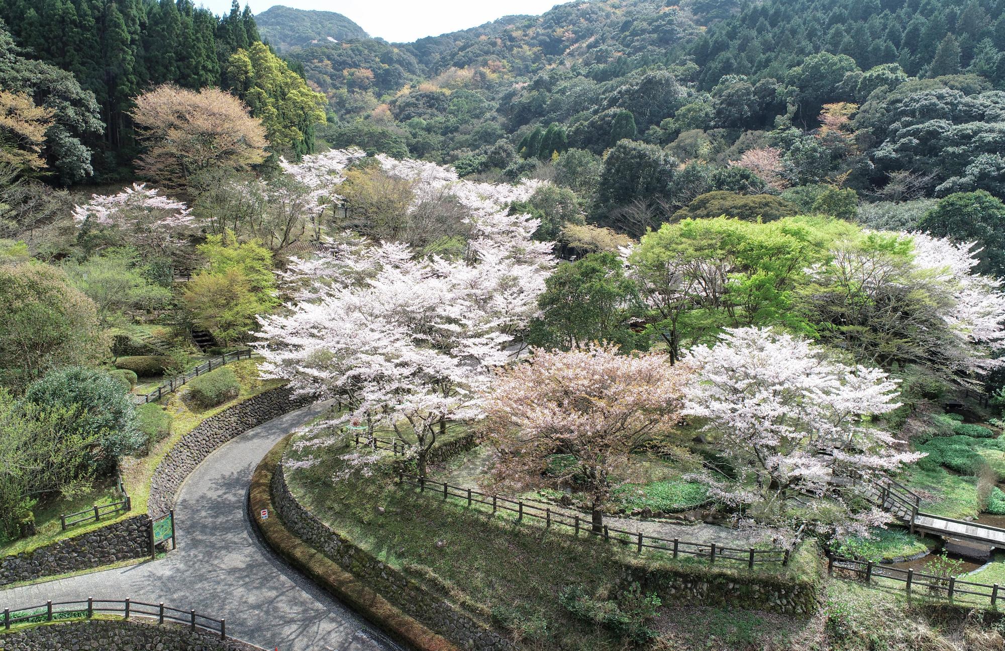 矢立農村公園「せせらぎの里」
