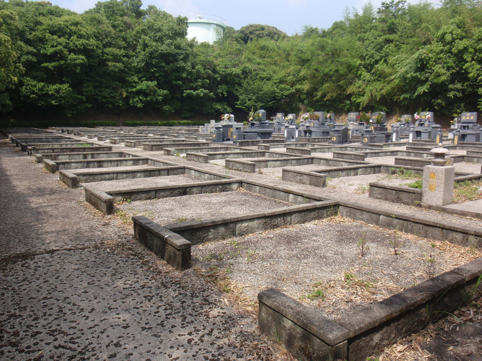生い茂る草木を背景にした墓地に数基のお墓が建ち、四角く区切られたお墓がない空き区画が点在している様子の写真