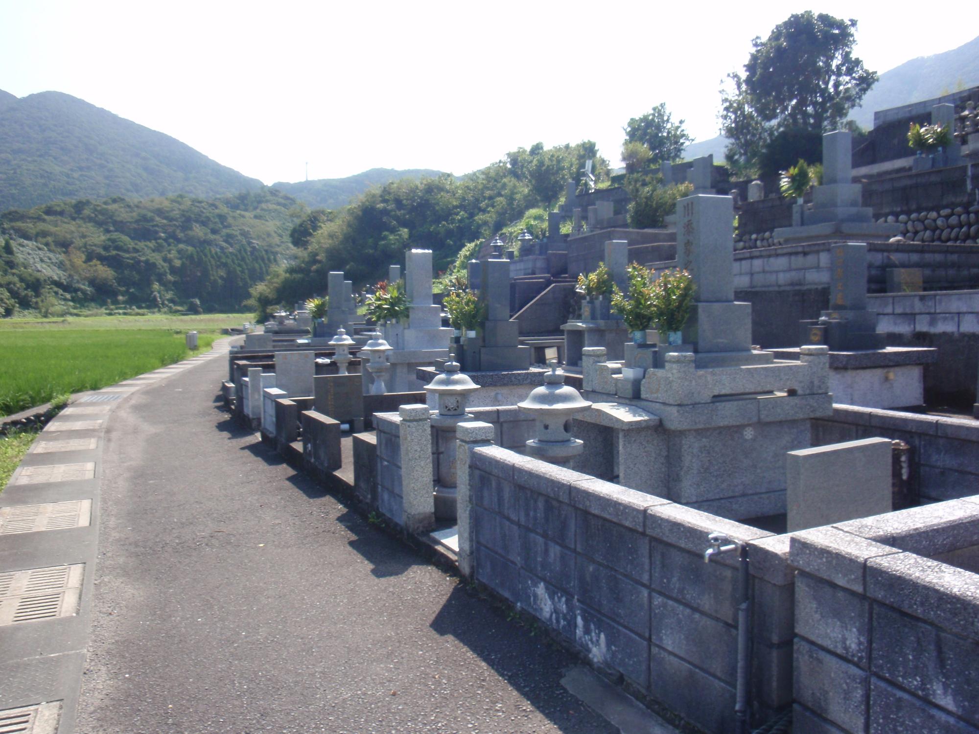 青空の下、道路に面して右側に数基のお墓が建ち、反対の左側に田んぼが広がっている写真