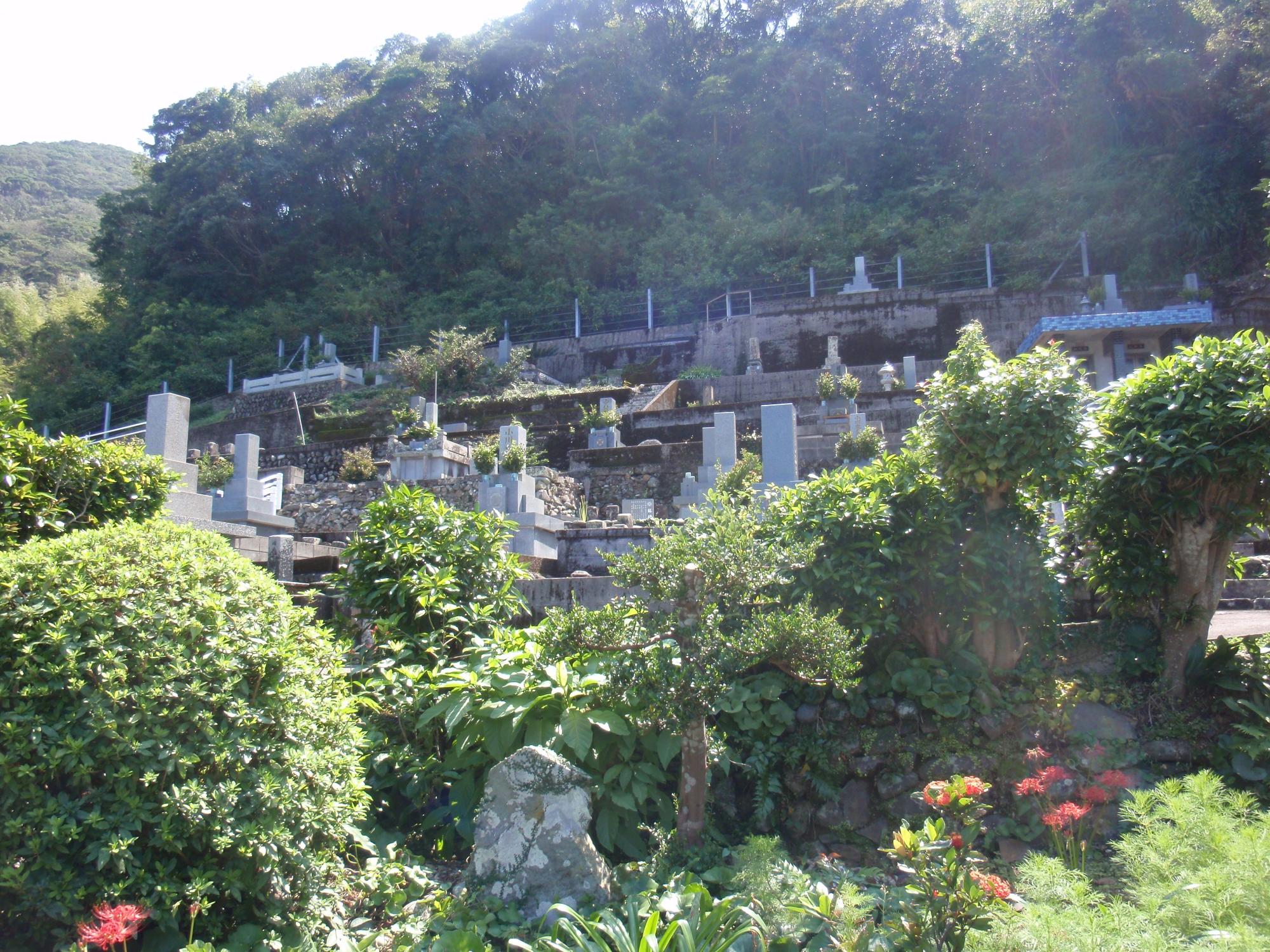 斜面に数基のお墓が建ち、その上に生い茂る沢山の木々を様々な植物が植えられた斜面手前から見た写真