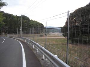 約10センチの格子の大きさのワイヤーメッシュ柵が道路沿いに貼られている写真