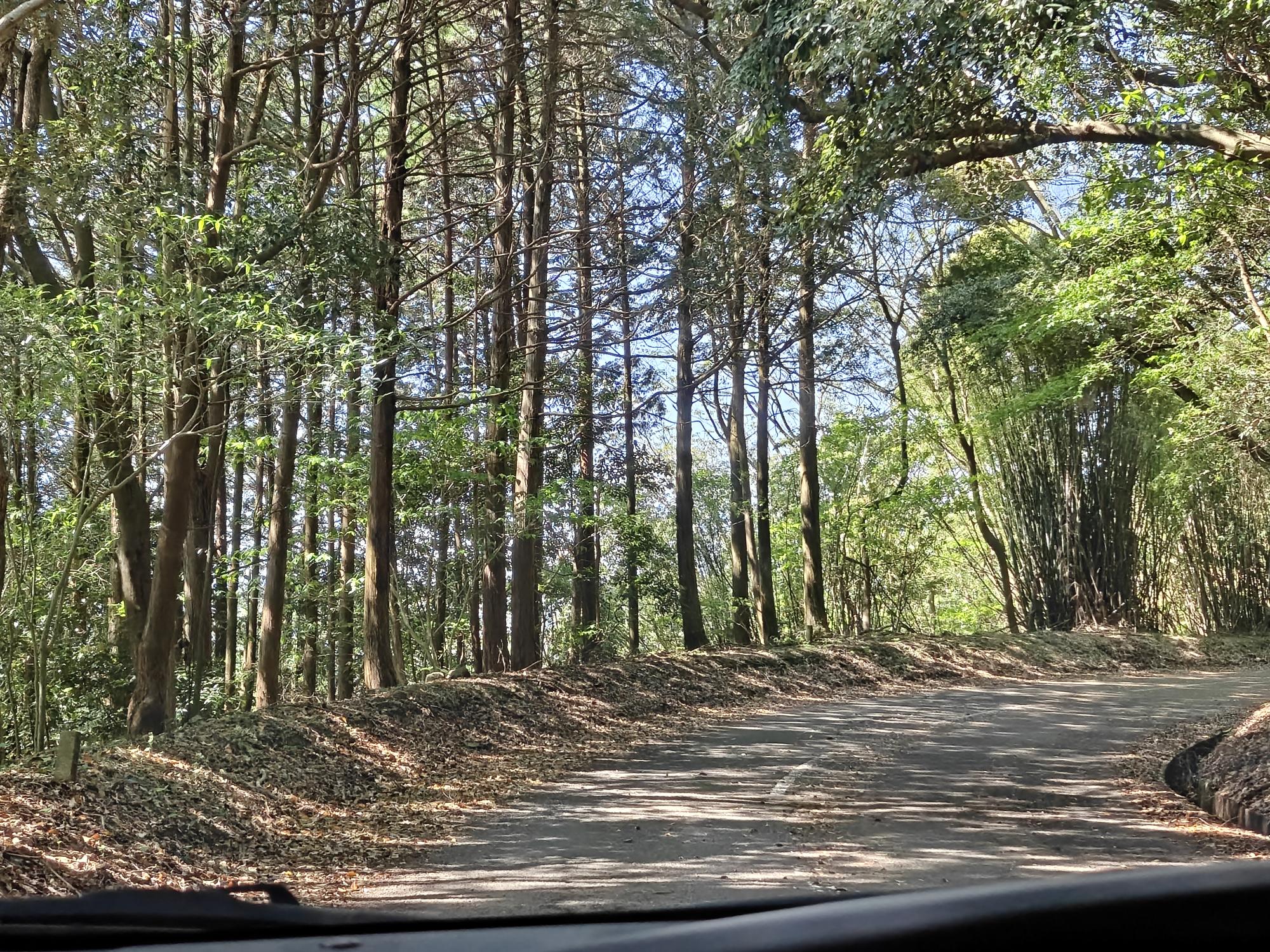 寺山公園からの下り道