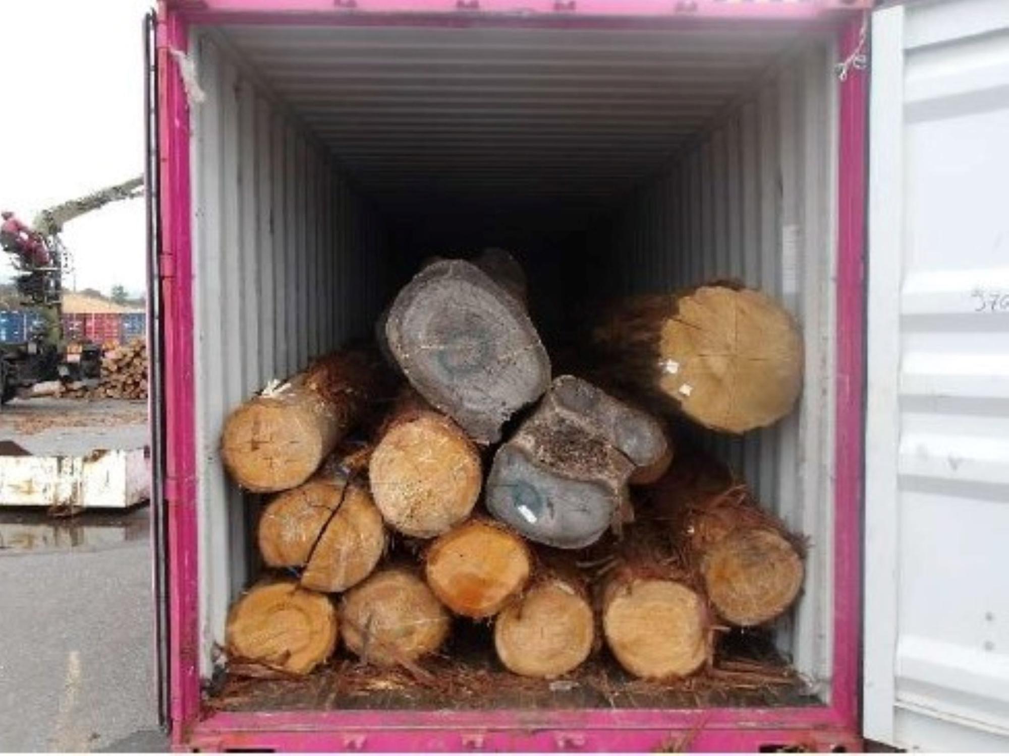 台湾向け木材輸出(貨物の様子)