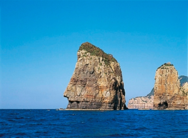 頭頂部に草が生えている大岩が海上にそびえ立っている写真
