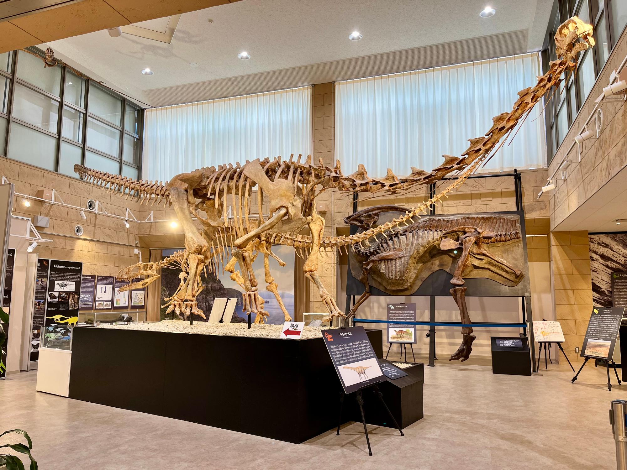 甑ミュージアム