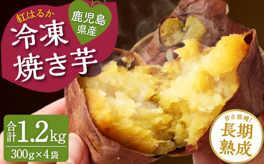 優秀賞