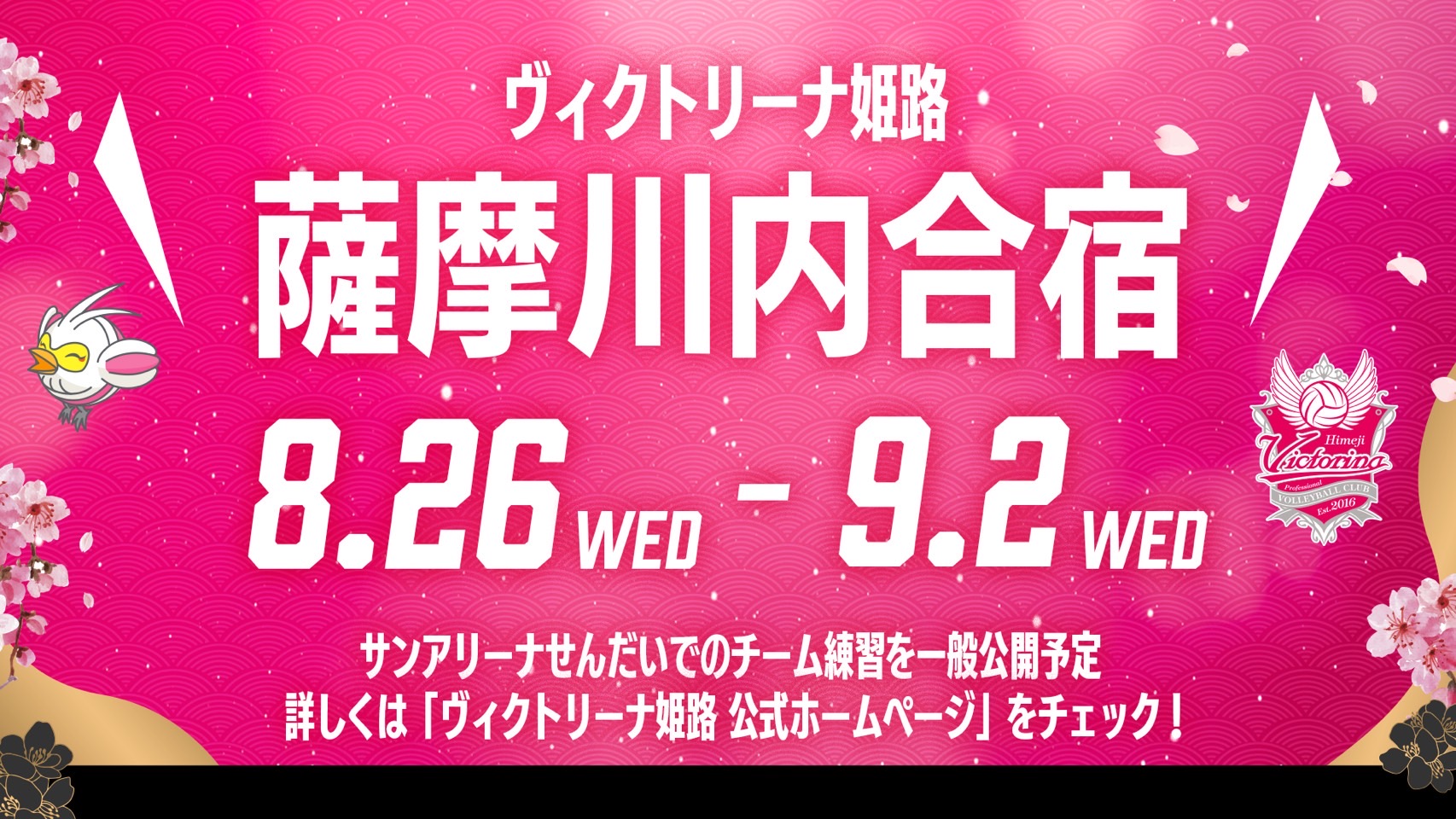 合宿情報