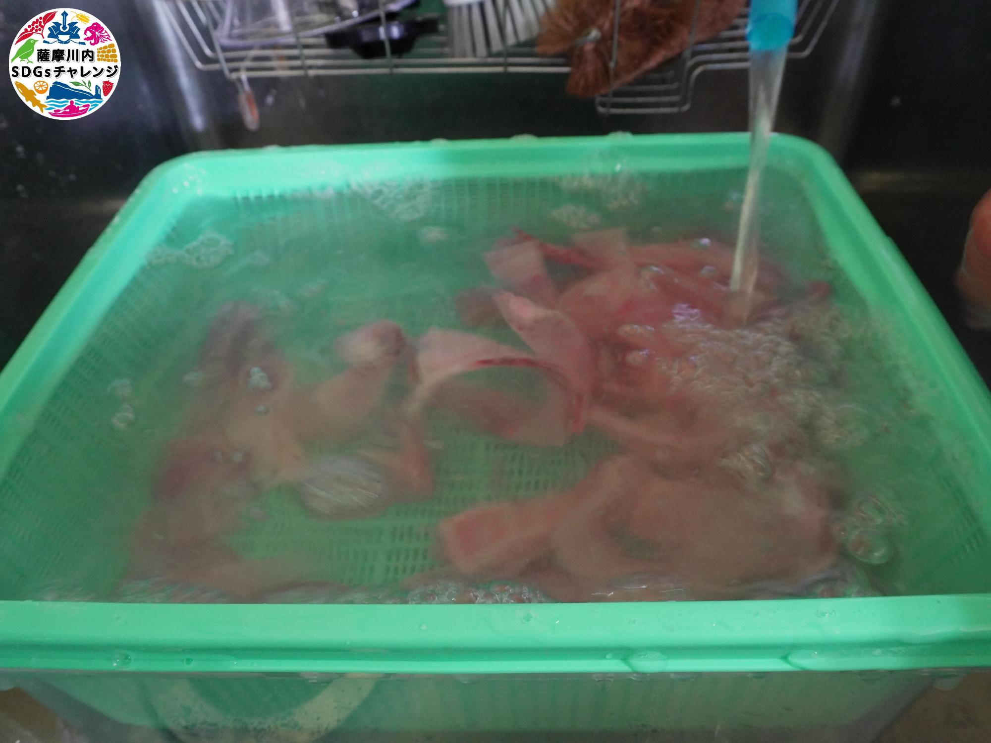 魚をきれいにする様子