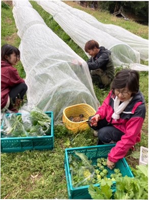KSorganickids取組4の様子