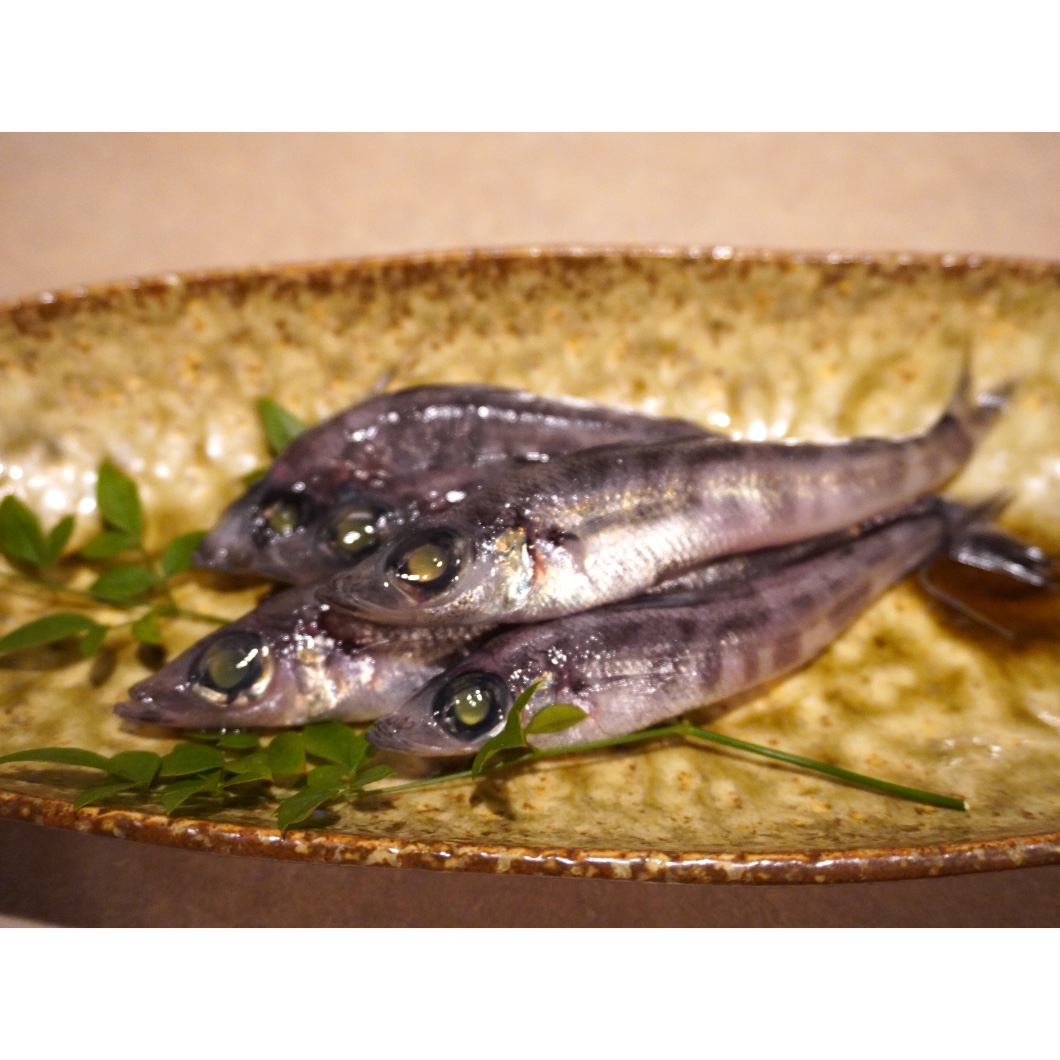 新鮮なメヒカリ