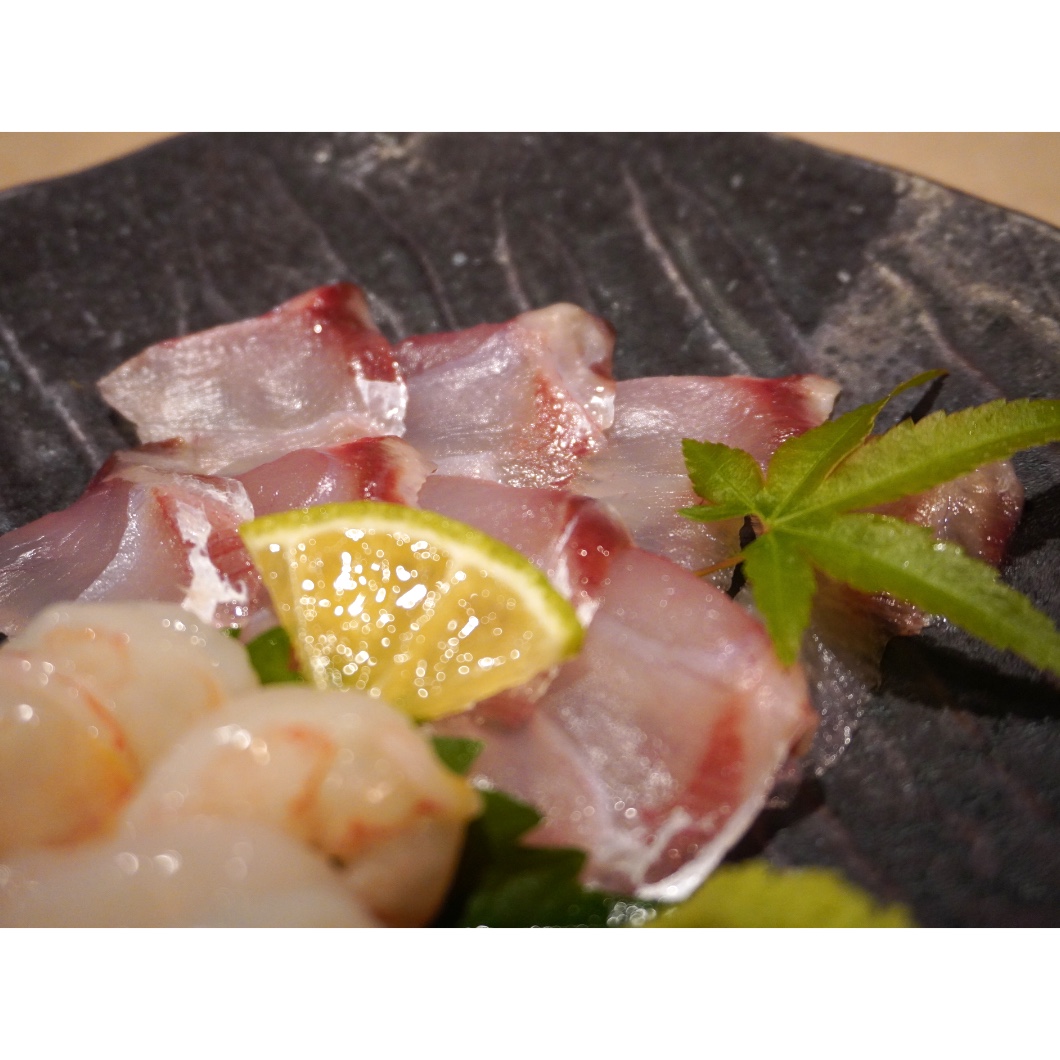ハマダイの刺身