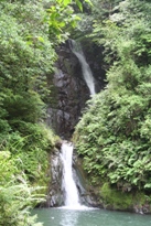 左右を木々で囲まれた岩肌を流れる滝の写真