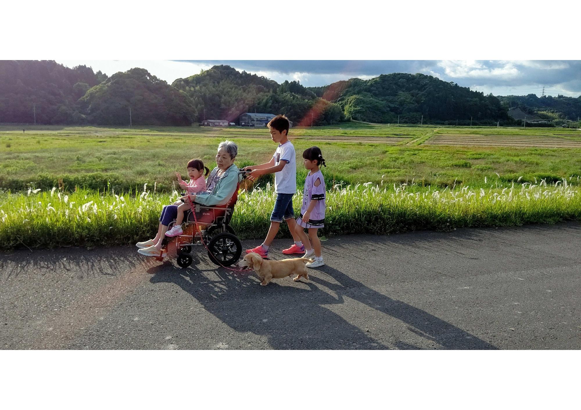 3人のひ孫が車いすに載ったひいばあちゃんと犬と一緒に散歩している写真
