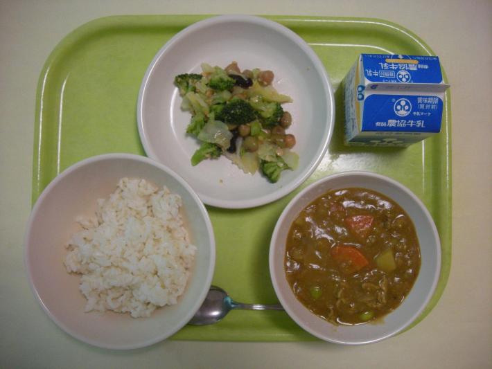麦ごはん、ポークカレー、ブロッコリーサラダ、牛乳の写真