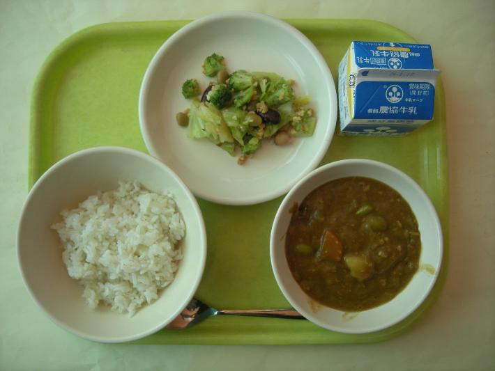 麦ごはん、ポークカレー、ブロッコリーサラダ（リクエストメニュー）、牛乳の写真