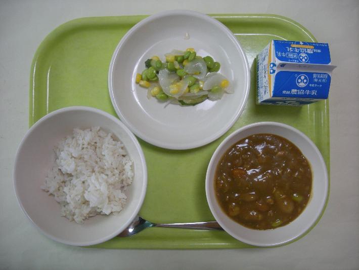 麦ごはん、チキンカレー、新玉ねぎのサラダ、牛乳の写真