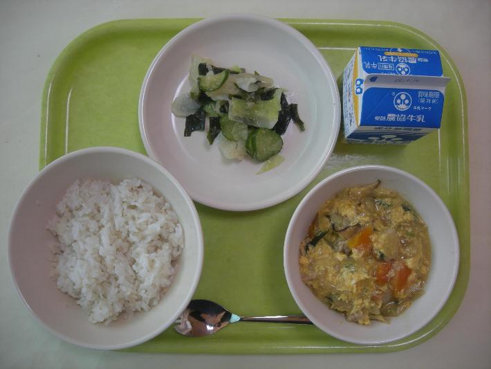 麦ごはん、親子どんぶりの具、おしんこサラダ、牛乳の写真