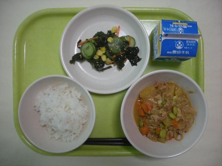 白ごはん、カレー肉じゃが、きゅうりとわかめの酢の物、牛乳の写真